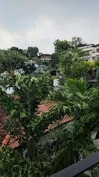 Shamrock Park (D10), Semi-Detached #580684321